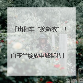 出租车“换新衣”！白玉兰绽放申城街巷