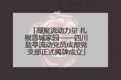 凝聚流动力量 扎根蓉城家园——四川盐亭流动党员成都党支部正式揭牌成立