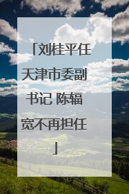 刘桂平任天津市委副书记 陈辐宽不再担任