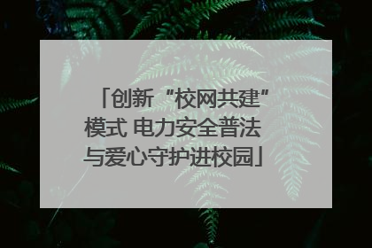 创新“校网共建”模式 电力安全普法与爱心守护进校园