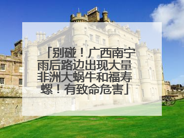别碰！广西南宁雨后路边出现大量非洲大蜗牛和福寿螺！有致命危害