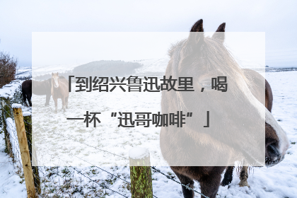 到绍兴鲁迅故里，喝一杯“迅哥咖啡”