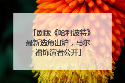 剧版《哈利波特》最新选角出炉，马尔福饰演者公开