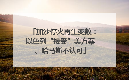加沙停火再生变数：以色列“接受”美方案、哈马斯不认可