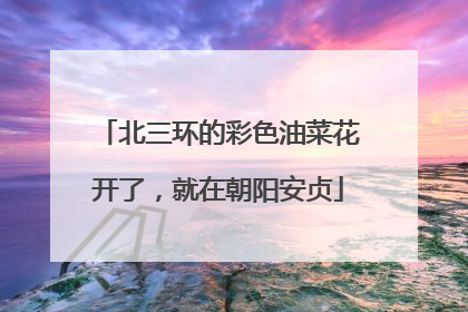 北三环的彩色油菜花开了，就在朝阳安贞