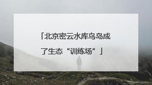 北京密云水库鸟岛成了生态“训练场”