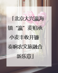 北京大兴瀛海镇“瀛”麦相承小麦丰收开镰 奏响农文旅融合新乐章
