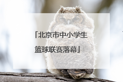 北京市中小学生篮球联赛落幕