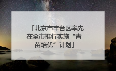 北京市丰台区率先在全市推行实施“青苗培优”计划