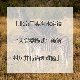 北京门头沟永定镇“大党委模式”破解村居并行治理难题