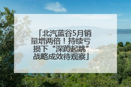 北汽蓝谷5月销量增两倍！持续亏损下“深蹲起跳”战略成效待观察