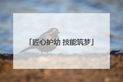 匠心护幼 技能筑梦