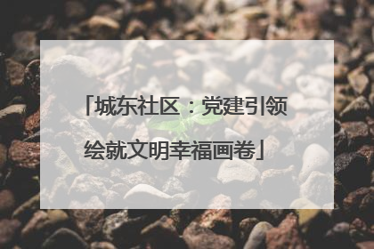 城东社区：党建引领绘就文明幸福画卷