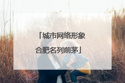城市网络形象合肥名列前茅
