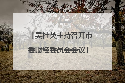 吴桂英主持召开市委财经委员会会议