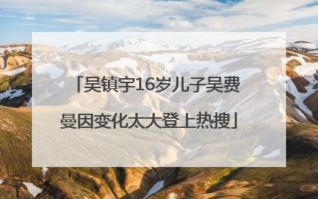 吴镇宇16岁儿子吴费曼因变化太大登上热搜