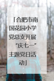 合肥市南国花园小学党总支开展“庆七一”主题党日活动