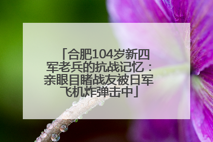 合肥104岁新四军老兵的抗战记忆：亲眼目睹战友被日军飞机炸弹击中
