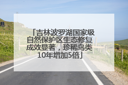 吉林波罗湖国家级自然保护区生态修复成效显著，珍稀鸟类10年增加5倍