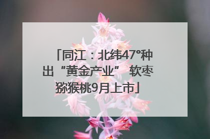 同江：北纬47°种出“黄金产业” 软枣猕猴桃9月上市