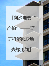 向沙地要“产值”——辽宁科尔沁沙地兴绿见闻