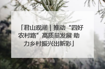 君山观潮｜推动“四好农村路”高质量发展 助力乡村振兴出新彩