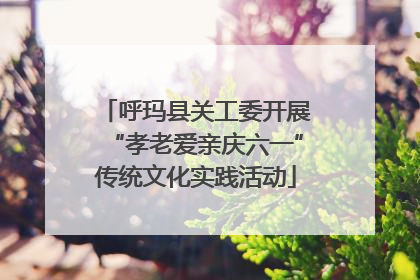 呼玛县关工委开展“孝老爱亲庆六一”传统文化实践活动