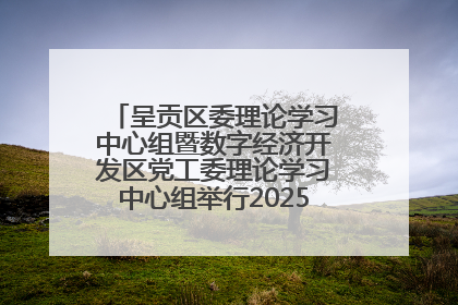 呈贡区委理论学习中心组暨数字经济开发区党工委理论学习中心组举行2025年第七次学习会议