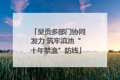 呈贡多部门协同发力 筑牢滇池“十年禁渔”防线