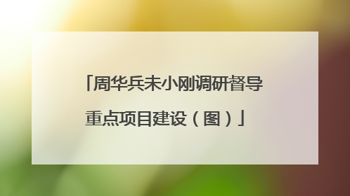 周华兵未小刚调研督导重点项目建设（图）
