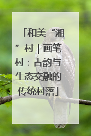 和美“湘”村｜画笔村：古韵与生态交融的传统村落