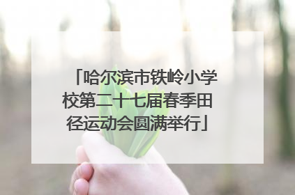 哈尔滨市铁岭小学校第二十七届春季田径运动会圆满举行