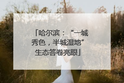 哈尔滨：“一城秀色，半城湿地”生态答卷亮眼