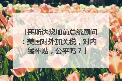 哥斯达黎加前总统顾问：美国对外加关税，对内猛补贴，公平吗？