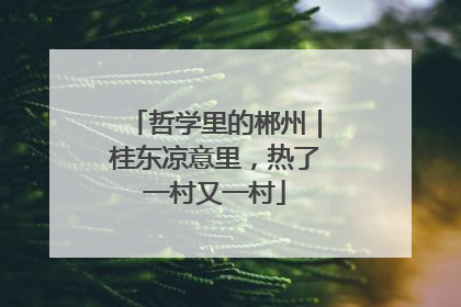 哲学里的郴州｜桂东凉意里，热了一村又一村