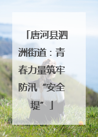 唐河县泗洲街道：青春力量筑牢防汛“安全堤”