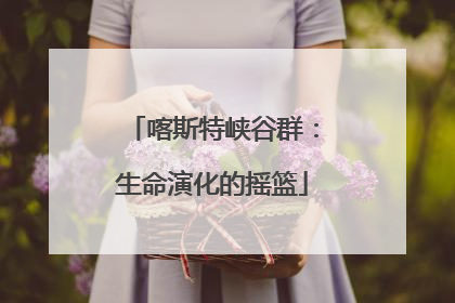 喀斯特峡谷群：生命演化的摇篮
