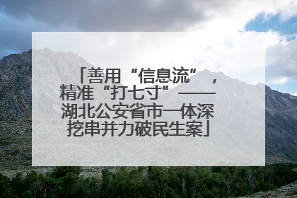 善用“信息流”，精准“打七寸”——湖北公安省市一体深挖串并力破民生案