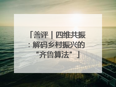 善评｜四维共振：解码乡村振兴的“齐鲁算法”