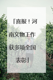 喜报！河南文物工作获多项全国表彰