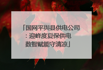 国网平舆县供电公司：迎峰度夏保供电  数智赋能守清凉