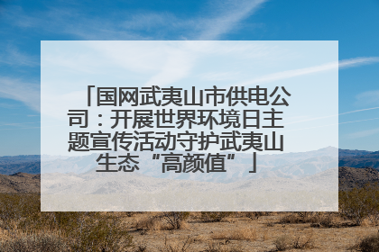 国网武夷山市供电公司：开展世界环境日主题宣传活动守护武夷山生态“高颜值”