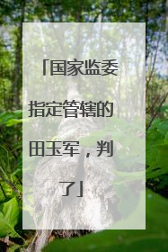 国家监委指定管辖的田玉军，判了
