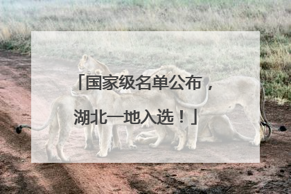 国家级名单公布，湖北一地入选！