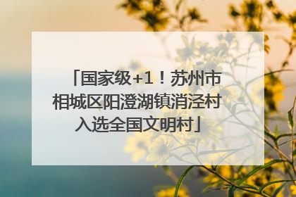 国家级+1！苏州市相城区阳澄湖镇消泾村入选全国文明村