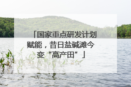 国家重点研发计划赋能，昔日盐碱滩今变“高产田”