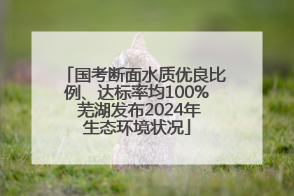 国考断面水质优良比例、达标率均100% 芜湖发布2024年生态环境状况