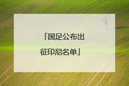 国足公布出征印尼名单