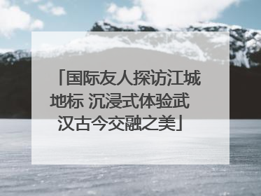 国际友人探访江城地标 沉浸式体验武汉古今交融之美