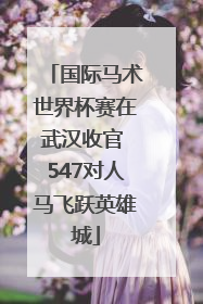 国际马术世界杯赛在武汉收官 547对人马飞跃英雄城